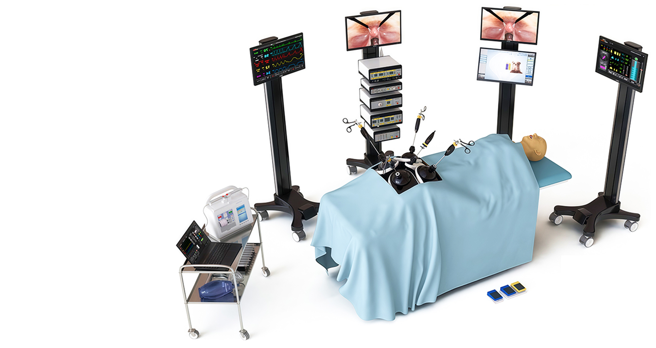 LapVision Hybrid